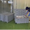 Baúl_Caja Multiusos