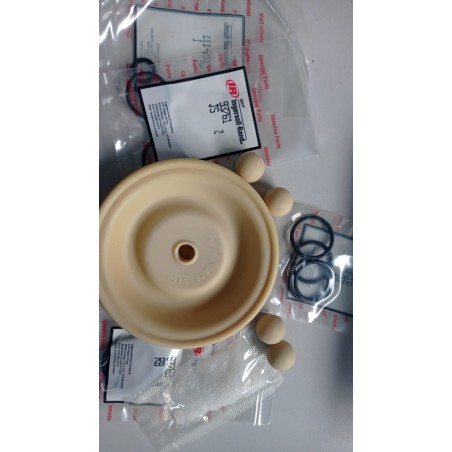 Juego de Repuesto  para Bomba 1/2" en Santoprene