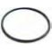 Junta torica vaso  56.74 x 3.53  Quadring