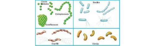 BioGedar-Activadores Biológicos