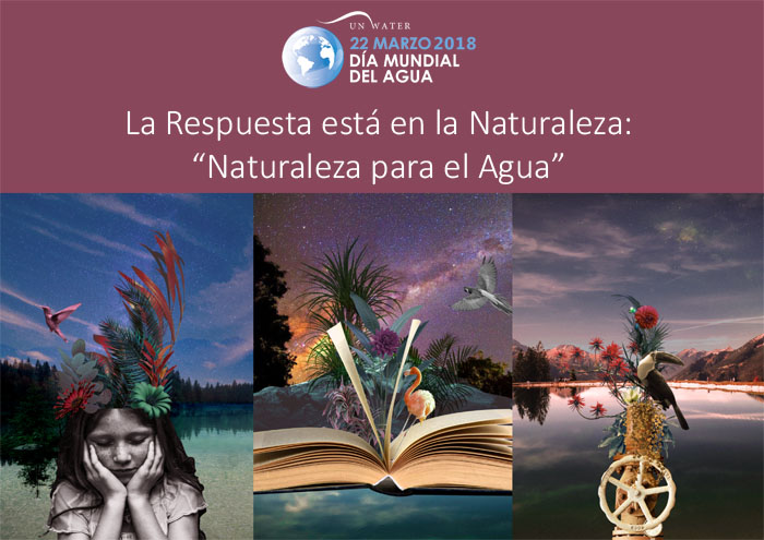 dia-mundial-agua-2018-agua-natureleza